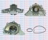 AQUAPLUS 85-6020 Water Pump